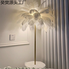 网红茶几落地灯带置物架立式驼鸟羽毛落地灯北欧ins客厅沙发卧室