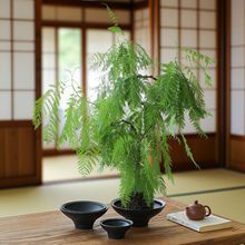 �o�׻���W�t��������m����o��ˮ�����\΢���^�մɄ���[����ɫ