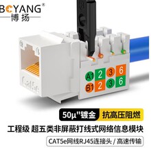 ���P����W�jģ�K 50&mu;"僽�CAT5e�W��RJ45�B���^ BY-RJ45-MK5E