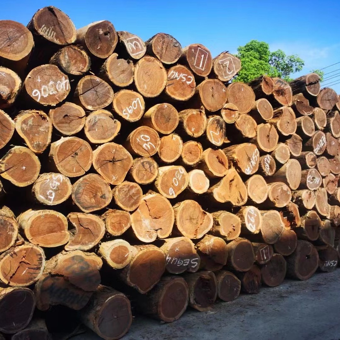 2024-06-21 16:09:12.jpg