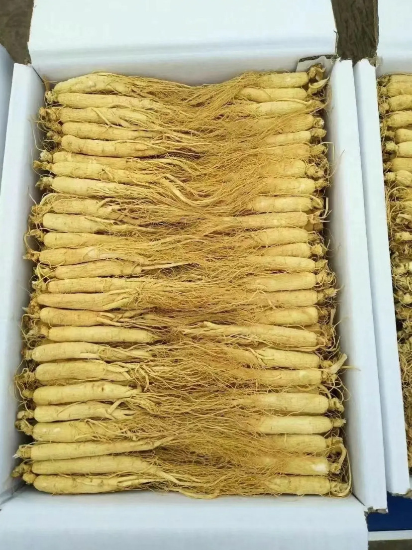 Changbai Mountain Sun-Dried Ginseng Gift Box Five Roots Northeast Specialty Dried Ginseng key features