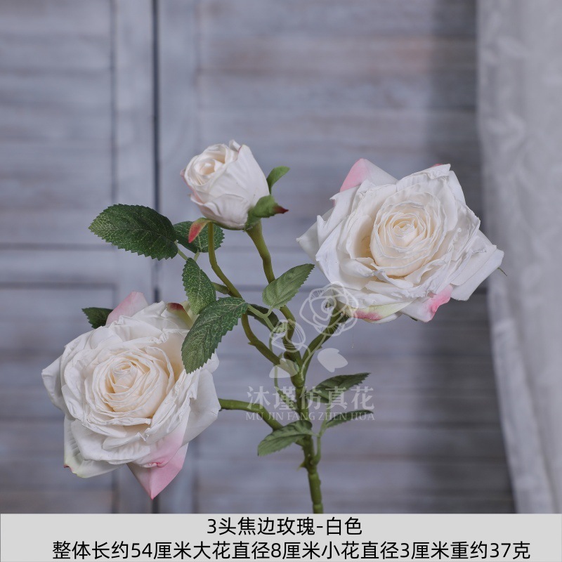 번트 엣지 로즈