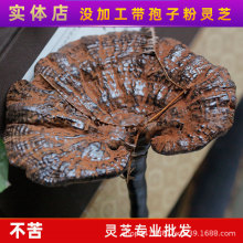 紫灵芝正品云南深山半野生紫芝带孢子粉不苦野芝干货可煲汤泡酒