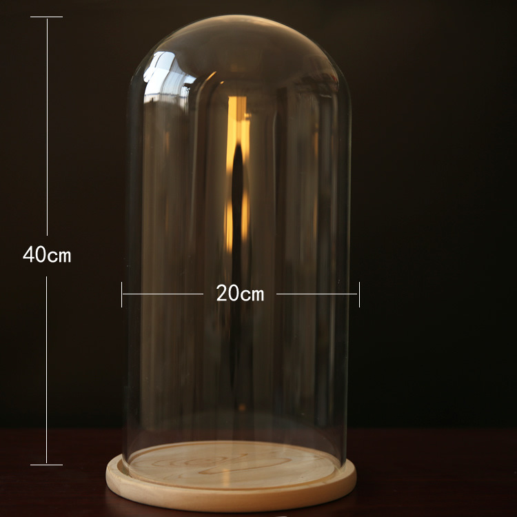 Fábrica eterna flor cubierta de vidrio creativo artesanía decoración transparente florero de cristal soporte varios tamaños