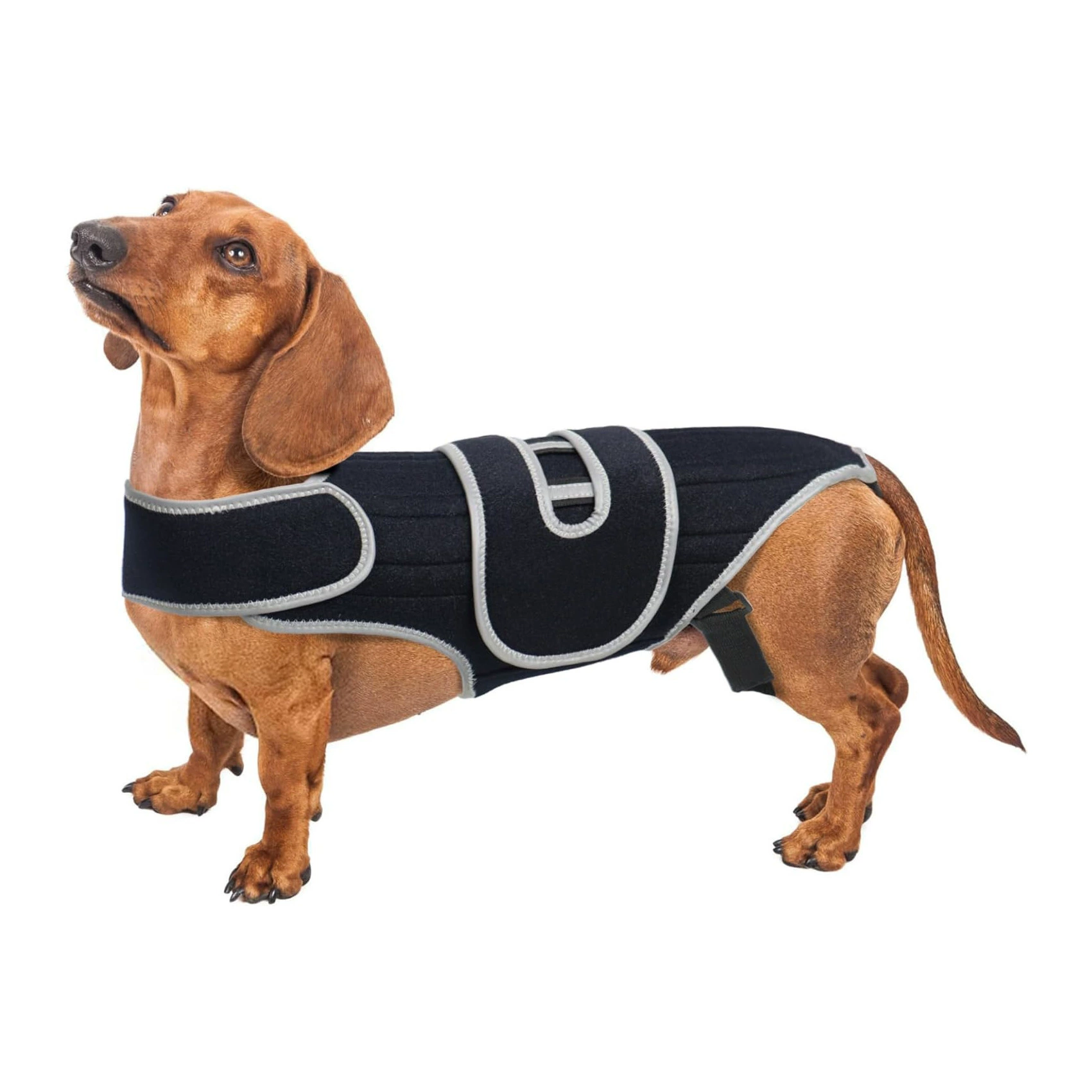 Новый поддерживающий ремень для травм спины собаки, защитный пояс для облегчения боли при переломах собаки, защитное снаряжение для домашних животных