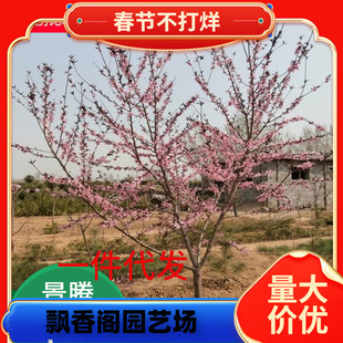 һ�����l���l���Ҙ� �Ɏ����� �޽��Ҙ� ����Y�� �_�������U�ʹ�