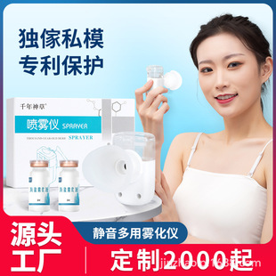 Wholesale new small eye moisturizer spray instrument handheld portable eye facial moisturizing steam sprayer