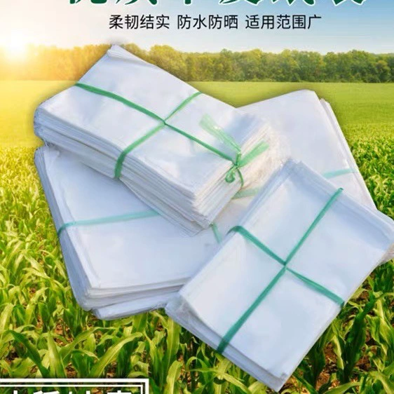 Оптовые пакеты из пергаментной бумаги, гибридные пакеты из пшеницы и кукурузы, изоляционные пакеты для опыления из серной кислоты, пакеты для разведения из пергаментной бумаги