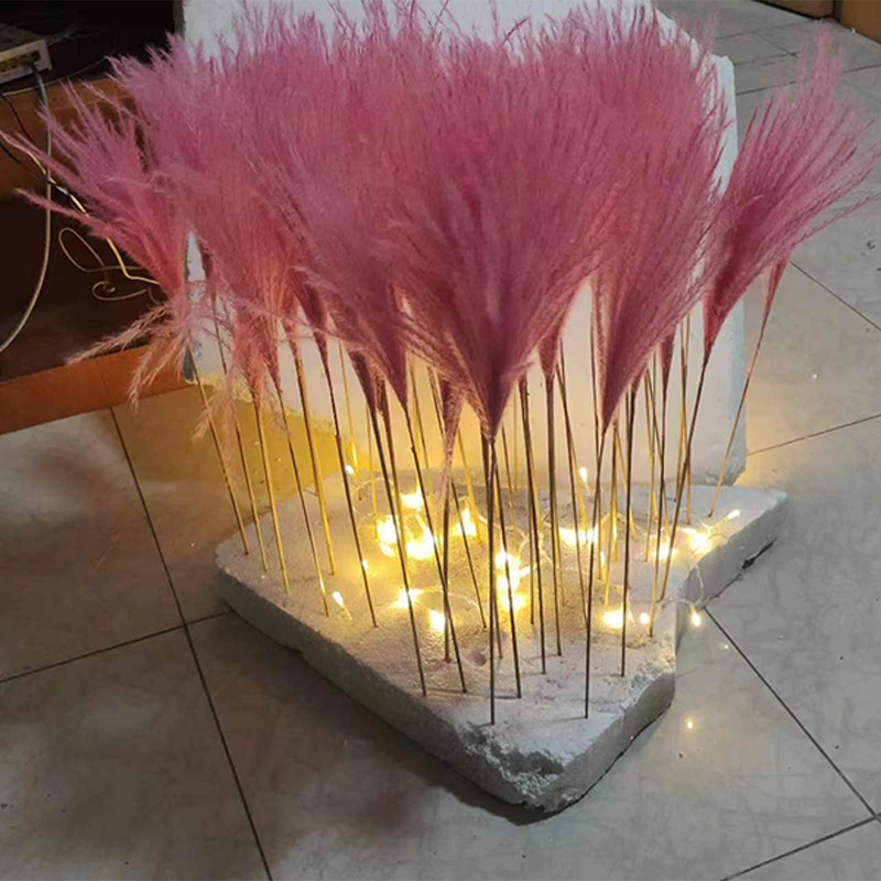 핑크 작은 갈대 60cm 50개