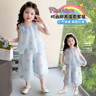 Ůͯ�ļ������̽��첱���b2026���b�¿�СŮ������������e�ɼ���