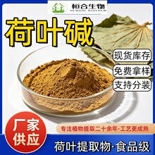 荷叶提取物50:1 高规格荷叶碱 食品级多规格荷叶粉 现货包邮