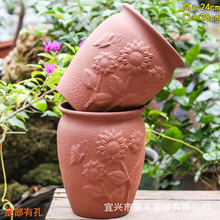 �t���؟���ɰ�����ֹ�͸�⻨���m���m������÷�Ϙ��҃���Nֲ����