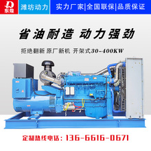 �_��ʽ���Ͱl늙C�M�H��300kw �����ı��o���Ͱl늙C ���؂���