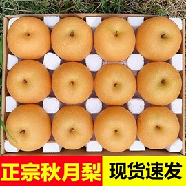 饼干;西式糕点;传统糕点