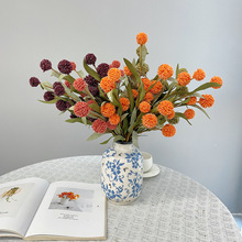 �����S������ɫ�͹ŷ��滨�����Ҿӈ���������������ջ��bٻ�