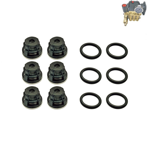 1812 1814 type ultra-high pressure pump head valve water inlet and outlet check valve car washer car washer valve group