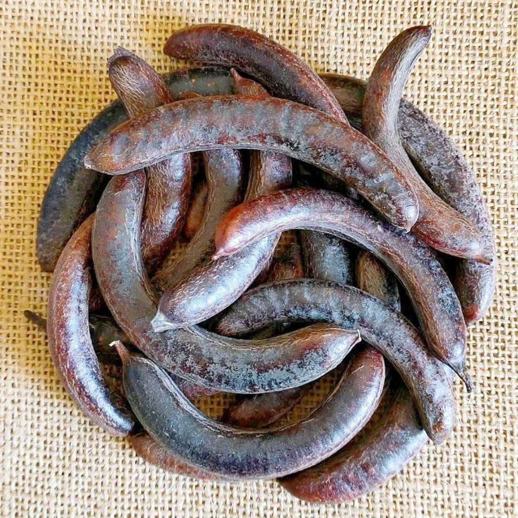 Dried Chinese Honey Locust Pods Zao Jiao 500g Whole Gleditsia sinensis Fruit Traditional Herbal Ingredient specifications