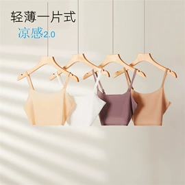 女士安全裤;女士背心;睡裙