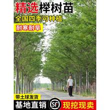 �t�Θ���Ѫ�eС��e��ͥԺ�е������ͺ����~�G���L����С�~�Θ���