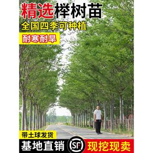 �t�Θ���Ѫ�eС��e��ͥԺ�е������ͺ����~�G���L����С�~�Θ���