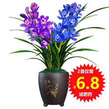 �m�������Ժ��B�����m�����m���ܾGֲ���ļ��_���ش�͏d�̨����