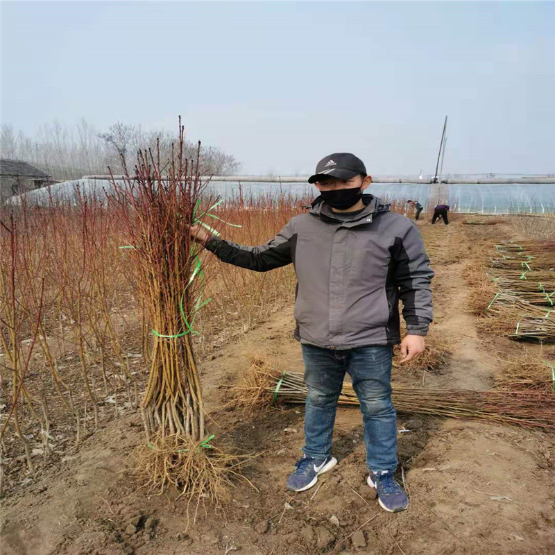 378979cf1c0e08a63ff4ca2eb56ece