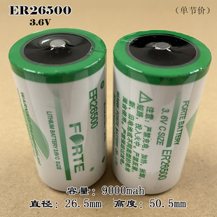 FORTE����ER26500����ˮ��ȼ�������ӋPLC����2̖ C��3.6V�늳�