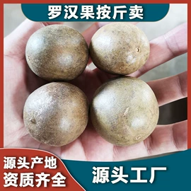 其他药食同源;花果茶;代用/养生茶