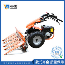 Сոũö๦ַʽո 