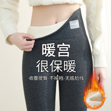 超厚羊羔绒打底裤女士秋冬外穿高腰暖腹棉裤子不扎腿一体绒保暖裤