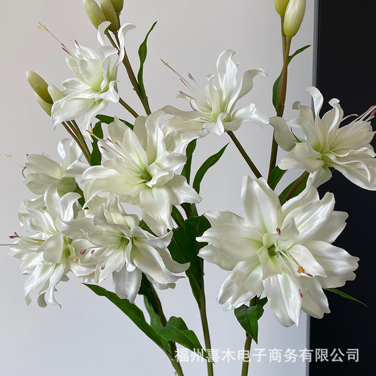 photo-output_4 5.JPG