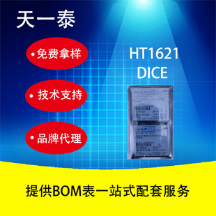 ��̩HT1621 DICE ��Ƭ�°��f��gӭ��ԃ��rоƬ����̎����