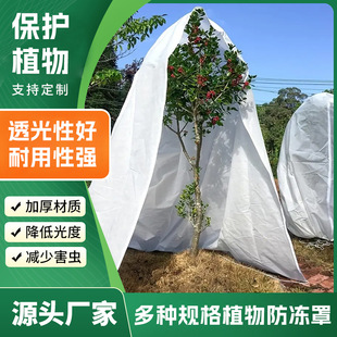 �羳����ֲ�ﱣ�o�ַ�������������ַ�����Խ���}�Q��ӡ���ռ{��