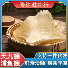 批发浦鱼边软骨正宗天狗翅海狗翅浦鱼翅天星翅煲汤食材海鲜干货
