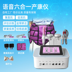 音声産後腹直筋骨盤底筋骨盤回復器評価訓練dds生物電気経絡器美容院