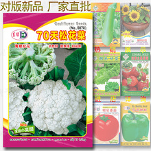 70���ɻ��˷N�� �s350��ѩ�׻������๣��Ҭ��ɢ�����߲˷N�����l