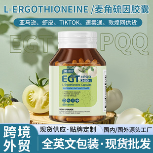 EGT���������z�� �羳���Q�F؛oem�׷����ܹ��չ��׸���PQQ�z��