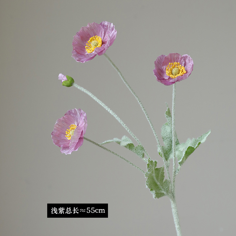 라이트 퍼플