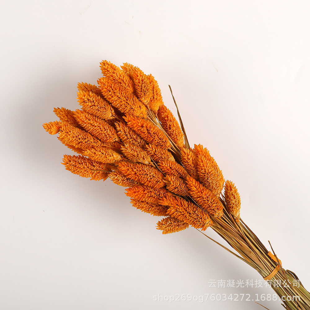 흙 같은 노란색