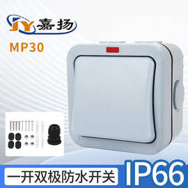 厂家供应IP66户外防水开关室外工地防雨带指示灯一开双极明装开关