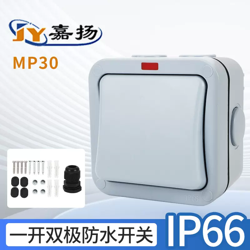 厂家供应IP66户外防水开关室外工地防雨带指示灯一开双极明装开关