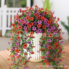 ���� �������컨�ȼ������_�m���m��ɫ�������҃ȵ��@�Ғ��ٷ���