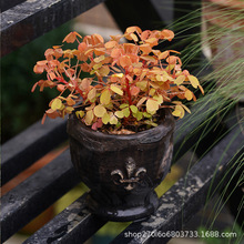 ���ڴּt������w���������_�����̨����͹ź�ɫ�p�ݸ߼��л���