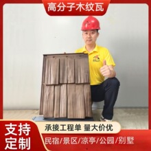 �r���Խ������b�޽��ķ¹Ÿ߷���ľ�y��һ�w������������픷�����