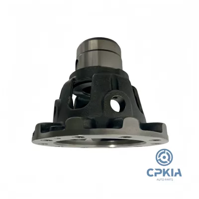 458223B250 is a hot-selling high-quality Differential housing