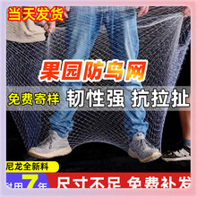 L5HM���B�W������@���������������W�̨�~�����Ҙ����Ѵ�����]