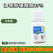 ����̩25%���׷ӻ������S�ϰ׷۲����׷Ԛ�����200����