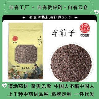 新货车前子 中药材车前子 车前籽 批发车前子 炒车前子车前子籽粉