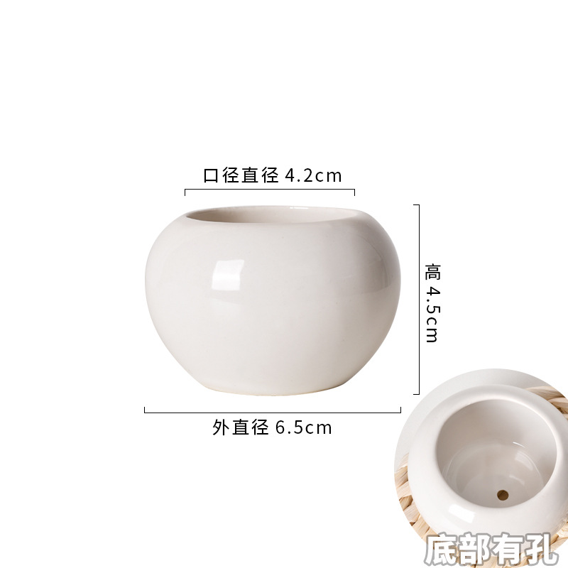 6.5*4.2*4.5cm 작은 구멍이 있는 작은 둥근 배 분지