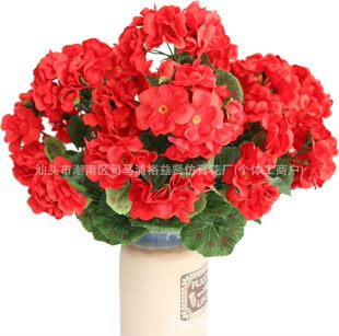 �羳���N���溣�Ļ��ٻ��Ҿӿ͏d�����b����ÿ��z���F؛���l����